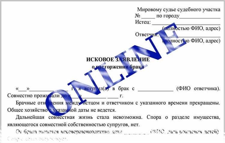 Зачем нужна консультация с юристом до оплаты госпошлины?